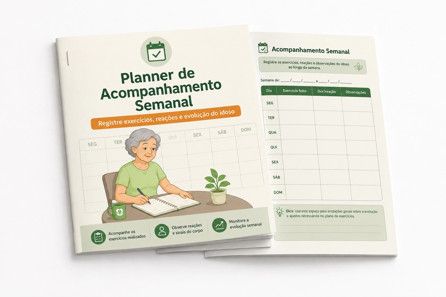 Planner de Acompanhamento Semanal